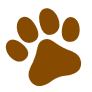 tinder dog favicon image